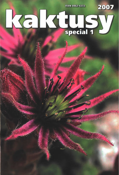 Kaktusy  special 2007/1
