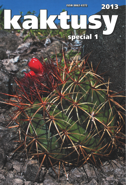 Kaktusy  special 2013/1