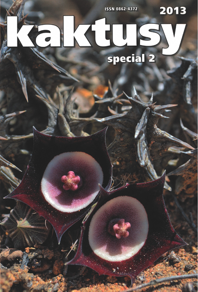 Kaktusy special 2013/2