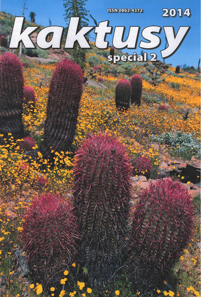 Kaktusy  special 2014/2