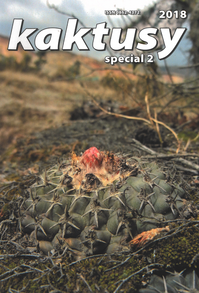 Kaktusy special 2018/2