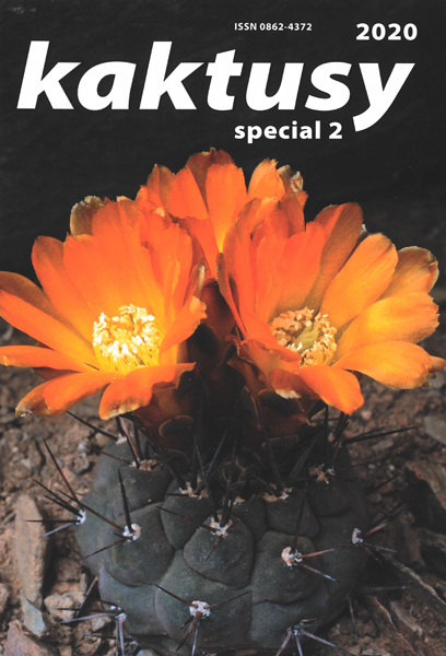 Kaktusy special 2020/2