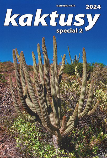 Kaktusy special 2024/2