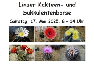 Linzer Kakteen- und Sukkulentenbörse