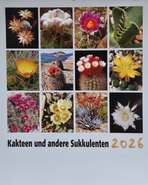 Aktueller Kakteenkalender